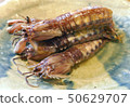深炸majak（有明海） 50629707