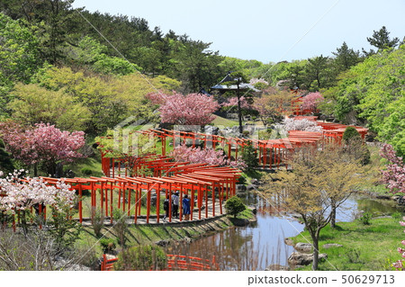 高山稻荷神社 50629713