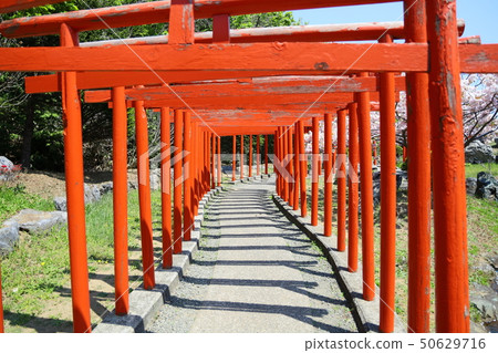 Takayama Inari shrine Takayama Inari shrine 50629716