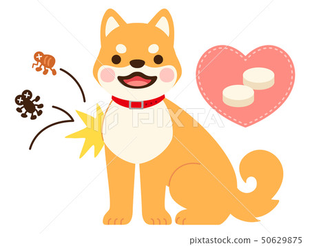 Illustration of a dog and a medicine that repels flea, tick 50629875