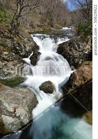 Taking a picture of the landscape of the third floor waterfall being thawed with snowmelt in Otaki Ward, Hokkaido Date City in spring 50629922