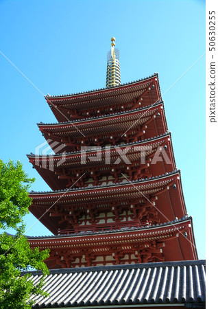 Asakusa-ji Temple Asakusa-ji Temple 50630255