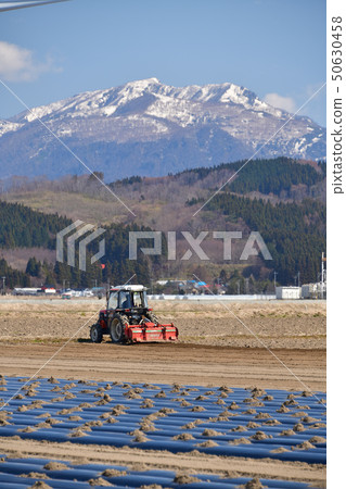 Taking a landscape of planting potatoes in spring in Esashi-cho, Hokkaido 50630458