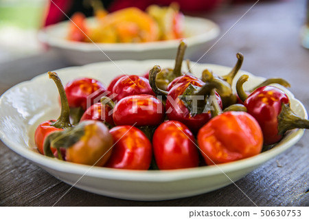 Food ingredients, fresh sweet red pepper Food ingredients, fresh sweet red pepper 50630753