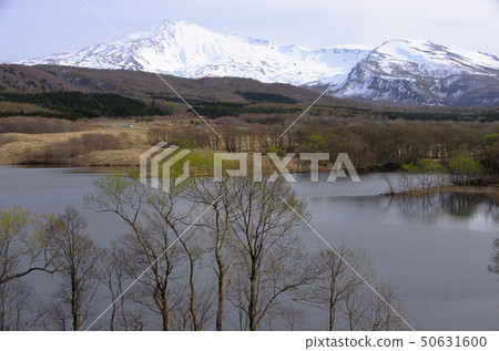 Mt. Chokai Fuushi濕地 Mt. Chokai Fuushi濕地 50631600