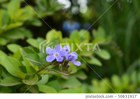 The Globe you're on is more than you can imagineB 50631917