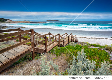 Wooded step in Salmon beach 50632488