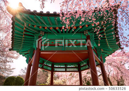 Pavilion in Seoul National Cemetery 50633526