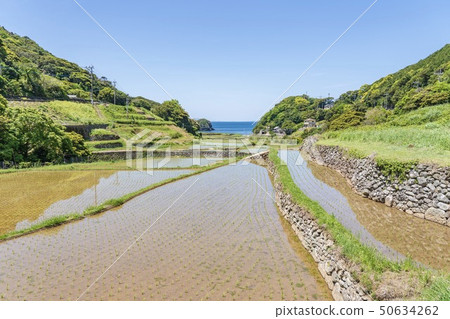 Rice terraces of Kasuga (Hirado City, Nagasaki Prefecture) 50634262