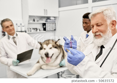 Vet holding syringe before injection for dog in clinic. 50635572