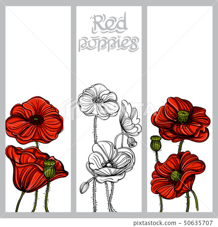 Set of vector vertical banners with hand drawn...-插圖素材 [50635707] - PIXTA圖庫