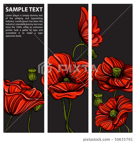 Set of veсtor vertical banners with hand drawn...-插圖素材 [50635791] - PIXTA圖庫