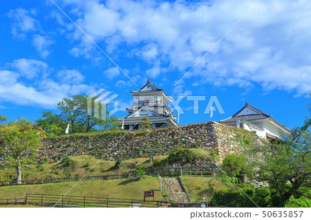 [靜岡縣]晴朗天氣下的濱松城 50635857