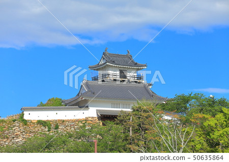 [Shizuoka Prefecture] Hamamatsu Castle under sunny weather 50635864