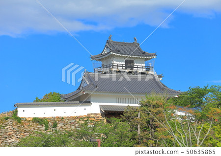 [Shizuoka Prefecture] Hamamatsu Castle under sunny weather 50635865
