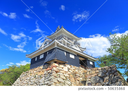 [Shizuoka Prefecture] Hamamatsu Castle under sunny weather 50635868