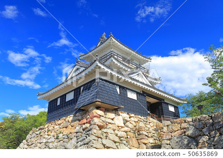 [靜岡縣]晴朗天氣下的濱松城 50635869