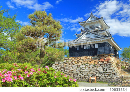 [靜岡縣]晴朗天氣下的濱松城 50635884