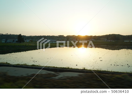 Dusk and rice fields Dusk and rice fields 50636410