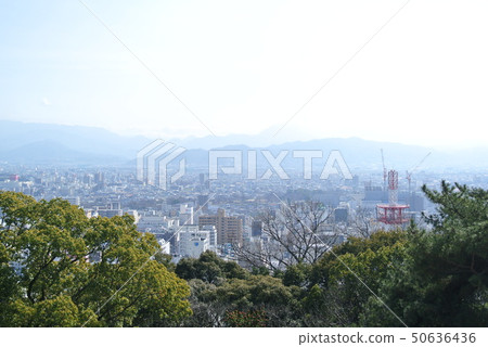 城市景觀 50636436