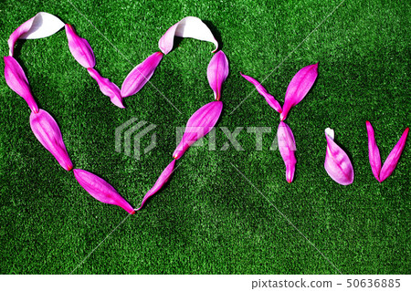 magnolia petal heart symbol nobody magnolia petal heart symbol nobody 50636885