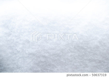 snow          50637319