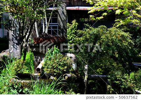 Aso Ichinomiya海濱城市景觀 Aso Ichinomiya海濱城市景觀 50637562