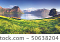 Wonderful view of norvegian fjord, Romsdalsfjord near Andalsnes 50638204
