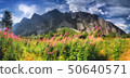 View of Trollveggen, Troll Wall, European highest vertical rock face, Norway. Blooming sally. 50640571
