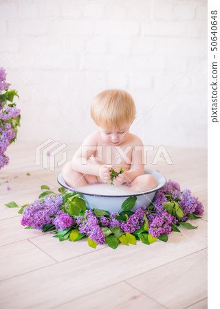 baby boy in an antique milk bath with lilac baby boy in an antique milk bath with lilac 50640648