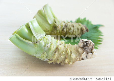 wasabi wasabi 50641131