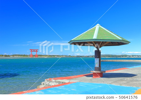 [靜岡縣]本田島海濱公園在晴朗的天氣下 50641576