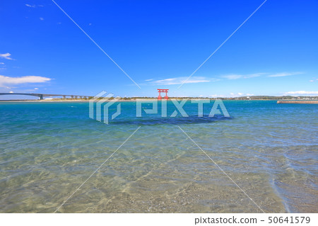 [靜岡縣]本田島海濱公園在晴朗的天氣下 50641579