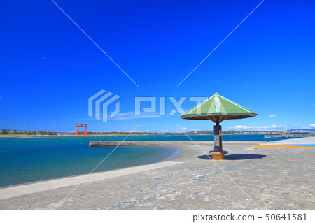 [靜岡縣]本田島海濱公園在晴朗的天氣下 50641581