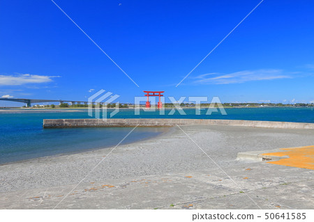 [靜岡縣]本田島海濱公園在晴朗的天氣下 50641585