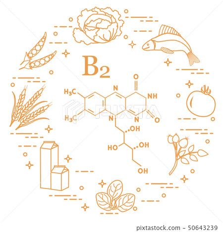 Foods rich in vitamin B2 Fish, peas and other. Foods rich in vitamin B2 Fish, peas and other. 50643239