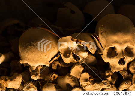 Skull and bones Skull and bones 50643974