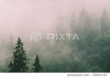 Misty mountain landscape 50645167