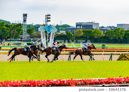 Horse racing 50645376