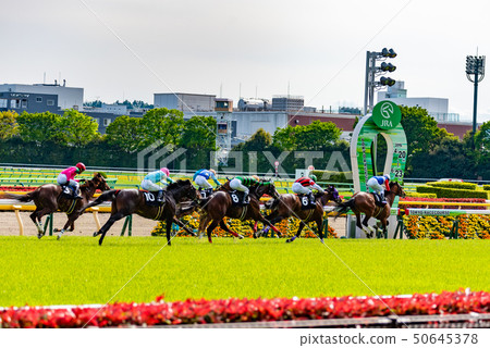 Horse racing 50645378