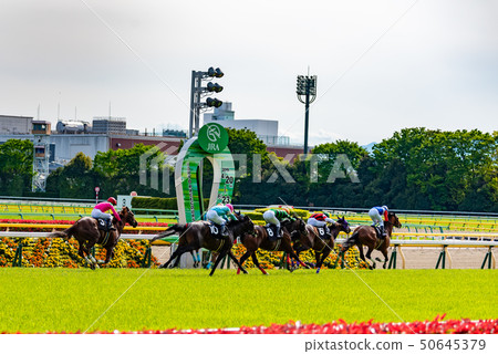 Horse racing Horse racing 50645379