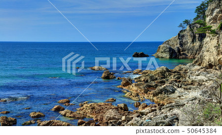 Sasagawa Flow Sasagawa Flow 50645384