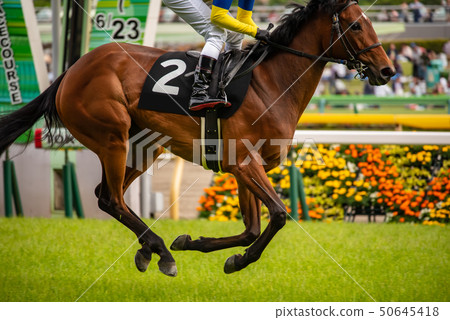 賽馬 50645418