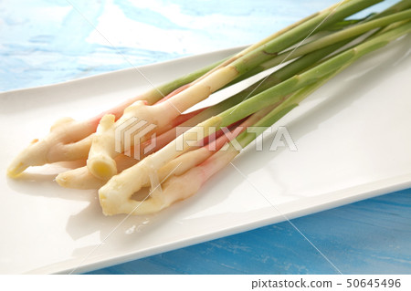 leaf ginger leaf ginger 50645496