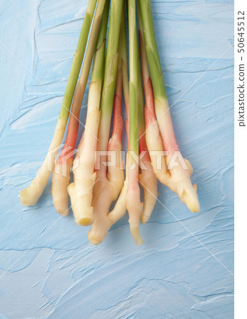leaf ginger leaf ginger 50645512