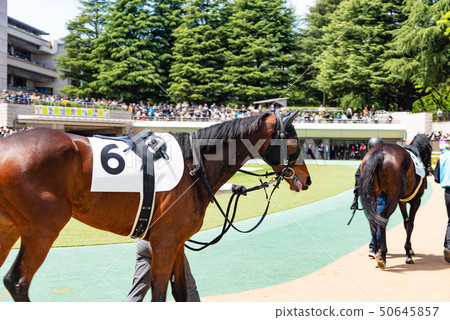 牧場 牧場 50645857