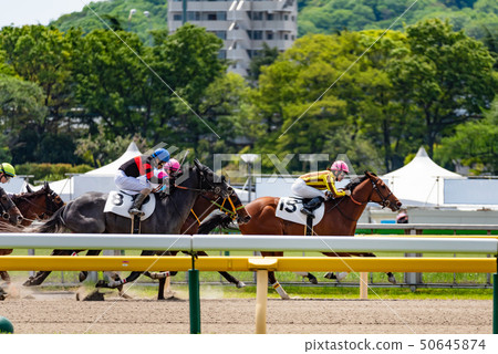 Horse race 50645874