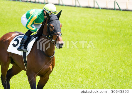 Horse race Horse race 50645893