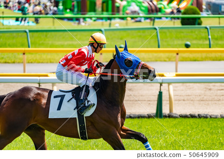 賽馬 50645909