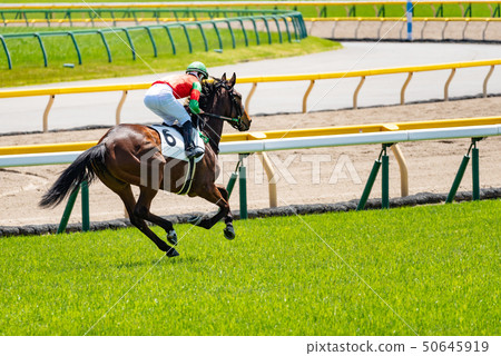 賽馬 50645919